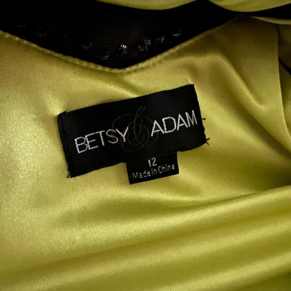Betsy & Adam Formal Dress Size 12 - Picture 12 of 16